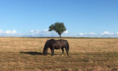 Parcelas en Parral con acceso controlado