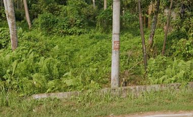 Dijual Murah tanah pinggir Jl. Nasional III, 13.970 m2, SHM, 150rb/m2