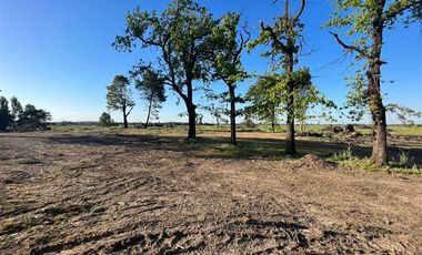 Agrícola en Venta en Sector Monteflor