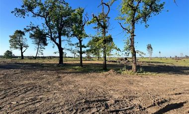 Agrícola en Venta en Sector Monteflor