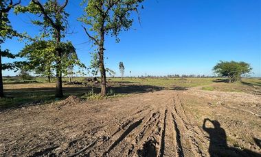 Agrícola en Venta en Sector Monteflor