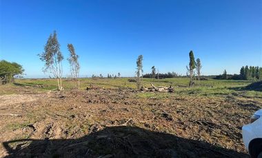 Agrícola en Venta en Sector Monteflor