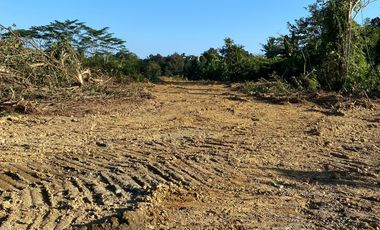 Tanah Syariah Murah Strategis Disamping STIKES Batara Guru WOTU
