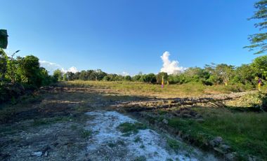 Tanah Syariah Murah Strategis Disamping STIKES Batara Guru WOTU