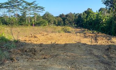 Tanah Syariah Murah Strategis Disamping STIKES Batara Guru WOTU