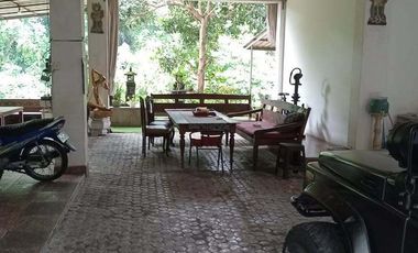 For sale rumah etnik bali 2lt 265m2 cekomaria peguyangan jl5mtr aspal