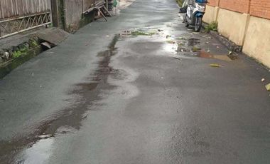 For sale rumah etnik bali 2lt 265m2 cekomaria peguyangan jl5mtr aspal