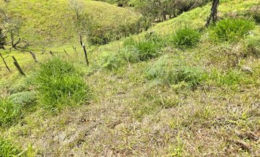 Terreno en Venta Ubicado en Guarne Codigo 2107