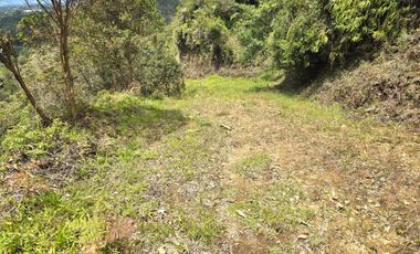 Terreno en Venta Ubicado en Guarne Codigo 2111