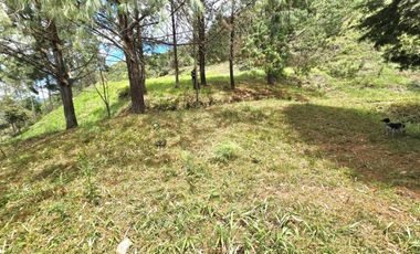 Terreno en Venta Ubicado en Guarne Codigo 2111