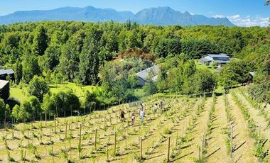 propiedad multifuncional turística y vitivinícola