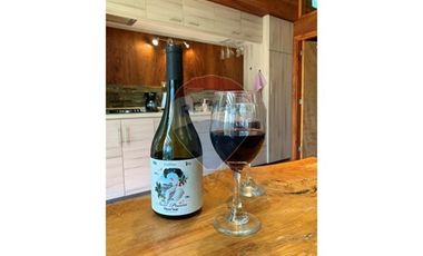 propiedad multifuncional turística y vitivinícola