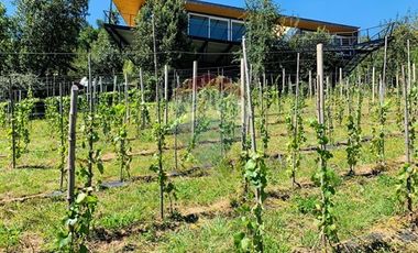 propiedad multifuncional turística y vitivinícola