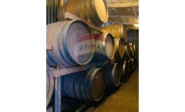 propiedad multifuncional turística y vitivinícola