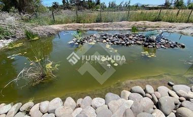 Casa en Venta en CAMINO CARAMPANGUE CON EL LABRADOR