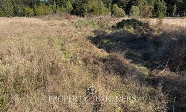 Terreno de 5.000 m² en Los Coigües del Sur , Brunau, a minutos de Puerto Varas