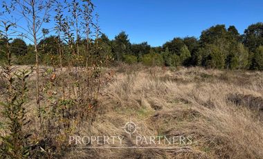 Terreno de 5.000 m² en Los Coigües del Sur , Brunau, a minutos de Puerto Varas