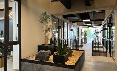 Venta Oficina acondicionada 50m2 Santa Cruz Atoyac, Av.Cuauhtémoc, Benito Juárez