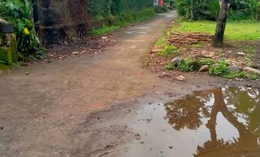 TANAH PEKARANGAN 1070M TERMURAH SIAP BANGUN DI MERTOYUDAN MAGELANG