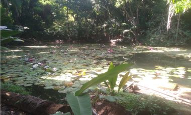 VENTA DE LOTE EN SANTA MARTA