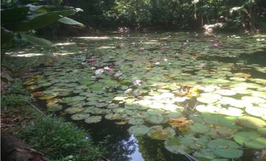 VENTA DE LOTE EN SANTA MARTA