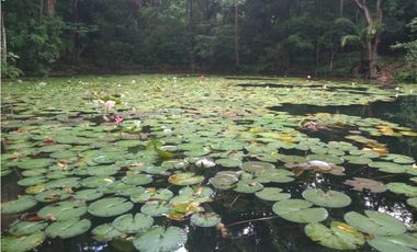 VENTA DE LOTE EN SANTA MARTA