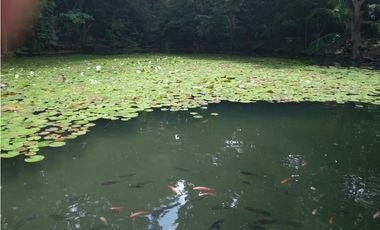 VENTA DE LOTE EN SANTA MARTA