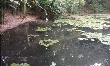 VENTA DE LOTE EN SANTA MARTA