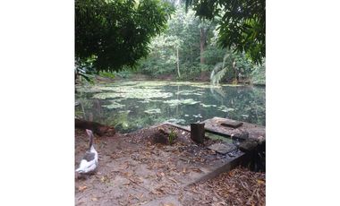 VENTA DE LOTE EN SANTA MARTA