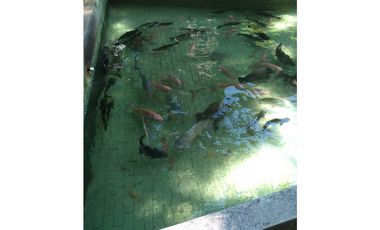 VENTA DE LOTE EN SANTA MARTA