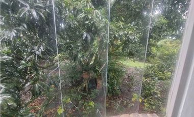 casa lote guasimal tena con frutales