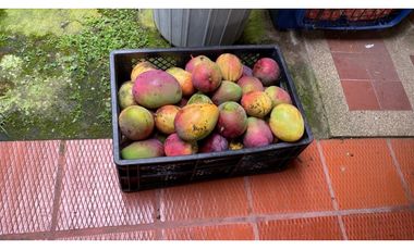 casa lote guasimal tena con frutales