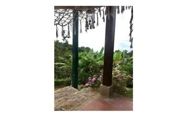 casa lote guasimal tena con frutales