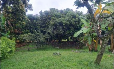casa lote guasimal tena con frutales