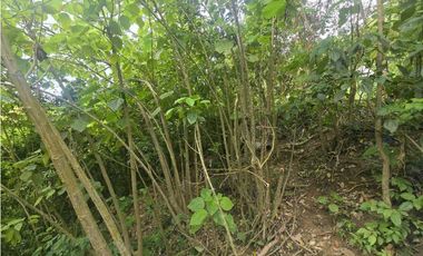 Se vende Lote en Minca Sierra Nevada - Santa Marta