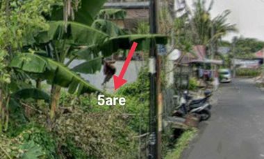 DIJUAL TANAH DEWI SRI