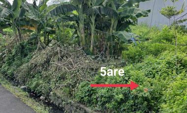 DIJUAL TANAH DEWI SRI