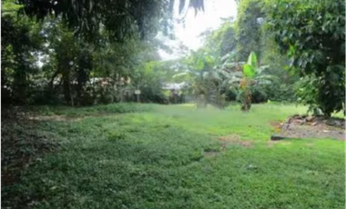 LA CHORRERA / BARRIO COLON / 280M / 4 HABITACION / VIA PRINCIPAL