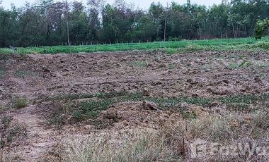 Land for sale in Nong Din Daeng, Nakhon Pathom
