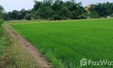 Land for sale in Nong Din Daeng, Nakhon Pathom