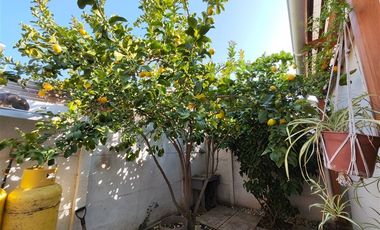 Casa en Venta en Filomena Bonell Gonzalez