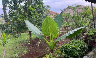 Hunian Cocok Untuk Kantor & Ruang Usaha di Pusat Kota Cianjur
