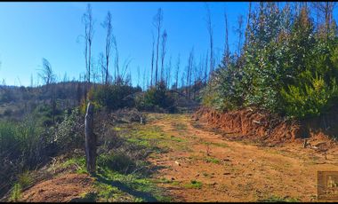 Parcela en venta en SANTA JUANA