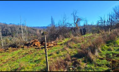 Parcela en venta en SANTA JUANA
