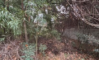 Casa en Venta en 2 PONIENTE 1085