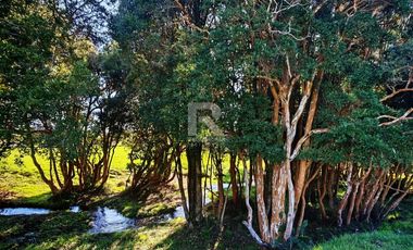 CASA EN VENTA EN CONDOMINIO SANTA ROSA, BRAUNAU