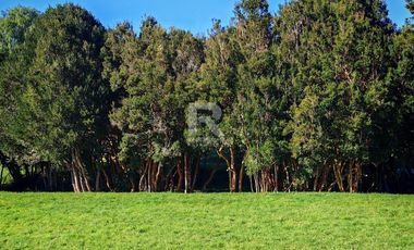 CASA EN VENTA EN CONDOMINIO SANTA ROSA, BRAUNAU