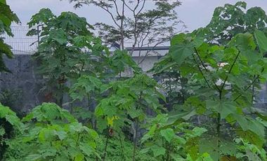 Dijual cepat dan murah tanah di SINGOMERTO SIGALUH BANJARNEGARA