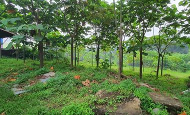 Dijual cepat dan murah tanah di SINGOMERTO SIGALUH BANJARNEGARA