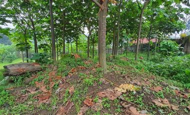 Dijual cepat dan murah tanah di SINGOMERTO SIGALUH BANJARNEGARA